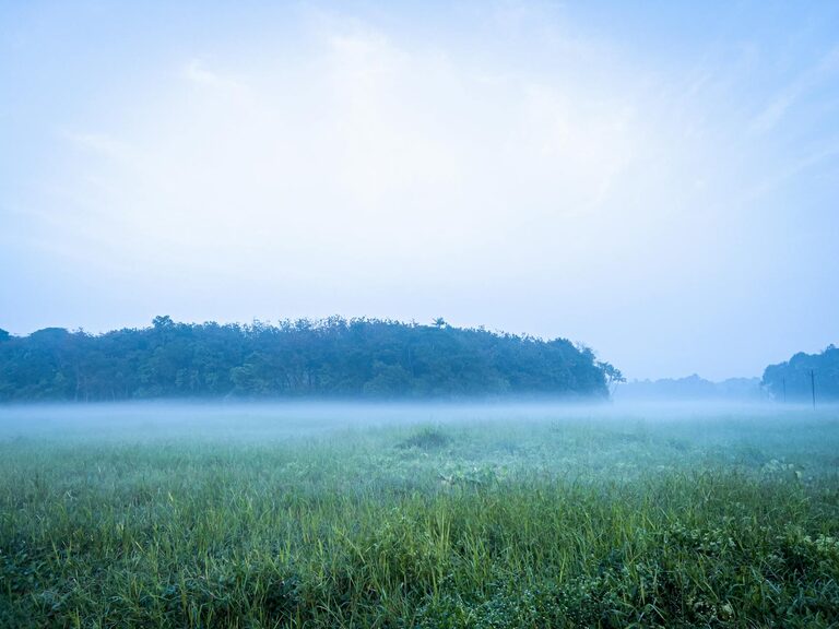 How to Create a Calm Start to the School Day for Kids